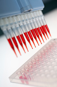 Product Safety Assessment