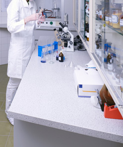 CRO Recommendations and Audits